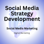 Social Media Strategy Development​